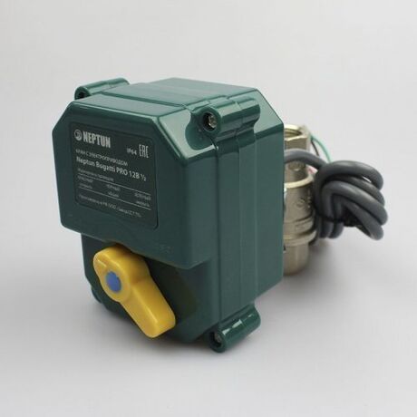 Neptun кран з електроприводом Bugatti Pro 12В